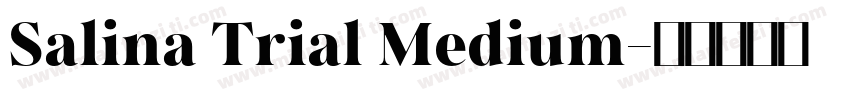 Salina Trial Medium字体转换